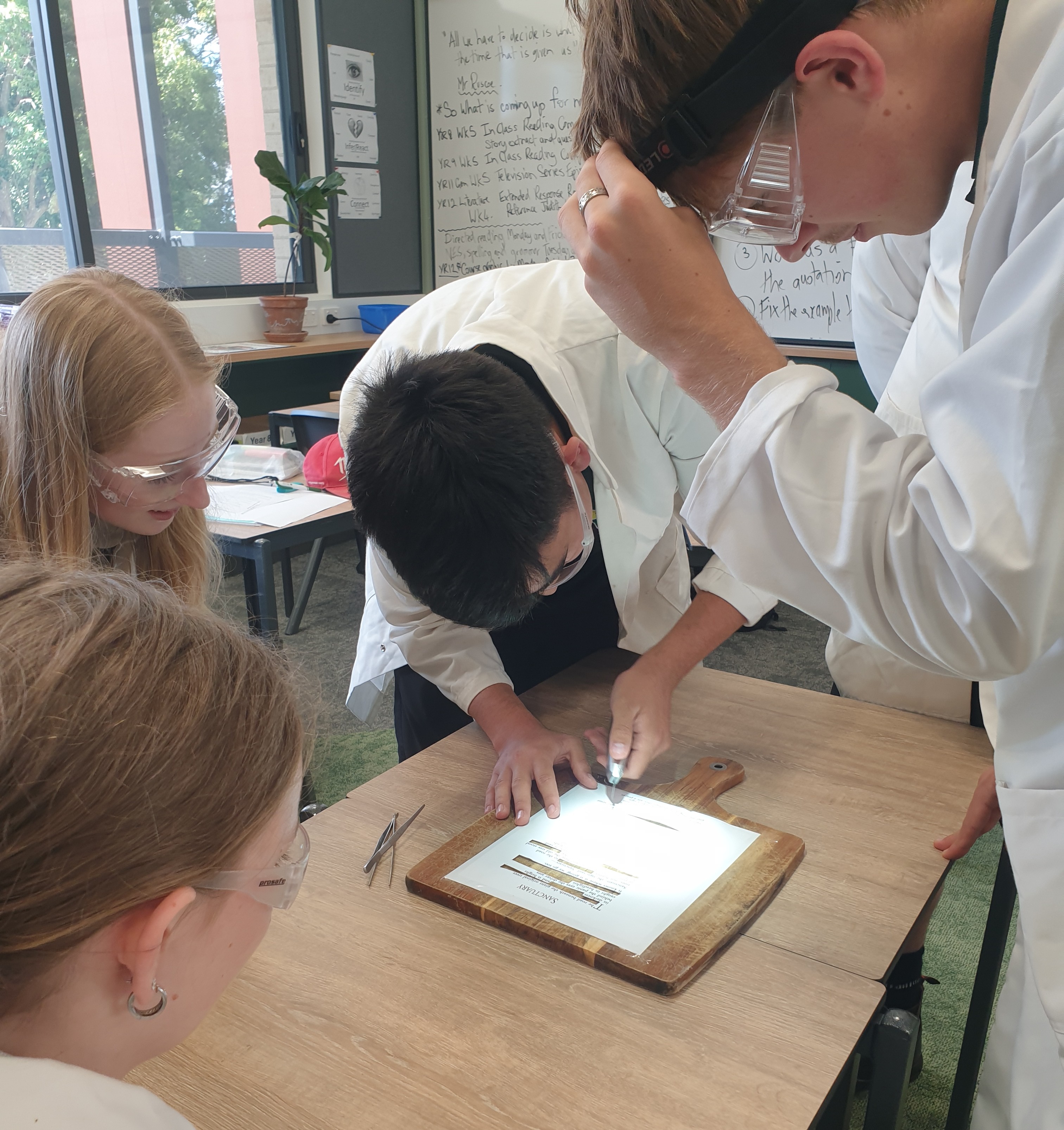 /uploaded_files/media/gallery/177078039520260205_144702 (3).jpg